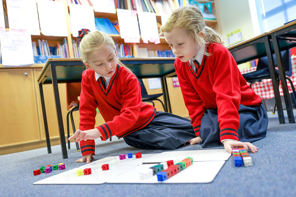 Curriculum
